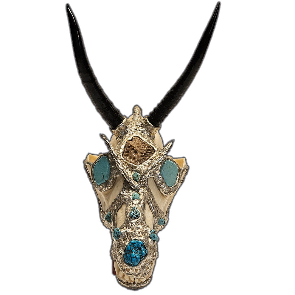 coyote skull with 2 springbok horns, 2 turquoise cabochon eyes, turquoise nuggets and an alligator scoot 