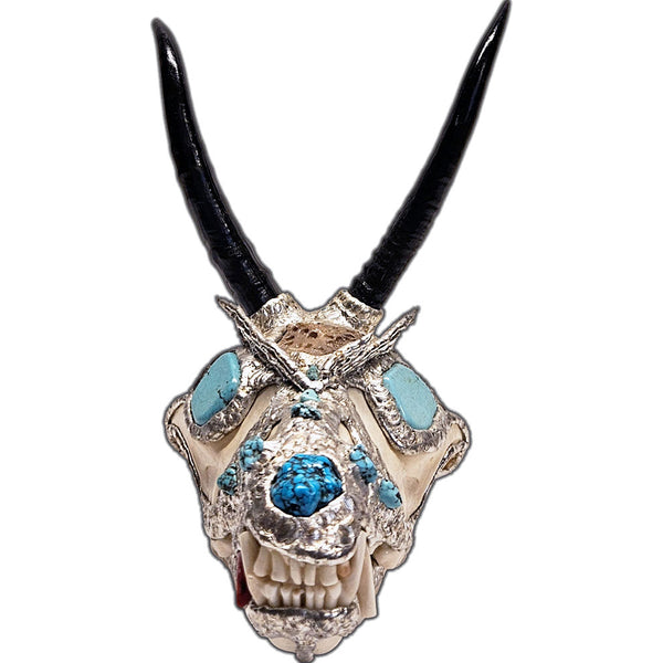 coyote skull with 2 springbok horns, 2 turquoise cabochon eyes, turquoise nuggets and an alligator scoot front view