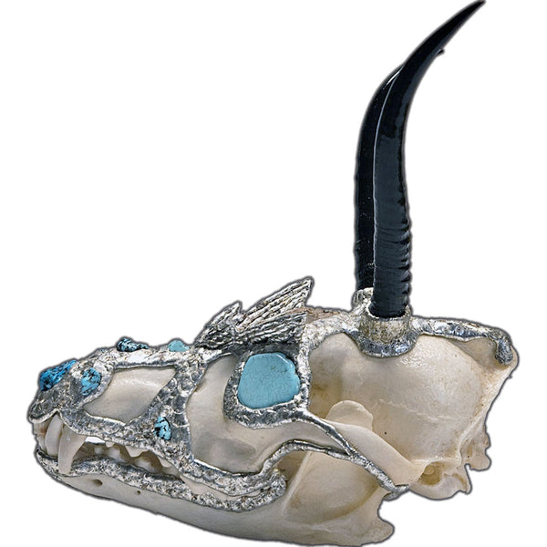 coyote skull with 2 springbok horns, 2 turquoise cabochon eyes, turquoise nuggets and an alligator scoot side view 2
