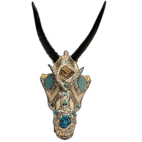 coyote skull with 2 springbok horns, 2 turquoise cabochon eyes, turquoise nuggets and an alligator scoot 