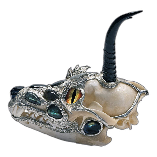 A dragon skull is sculpted out of a coyote skull, two springbok horns, eleven labradorite cabochons, glass for eyes, black tourmaline nose side view