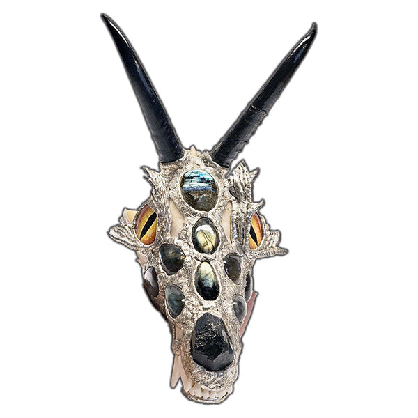 A dragon skull is sculpted out of a coyote skull, two springbok horns, eleven labradorite cabochons, glass for eyes, black tourmaline nose