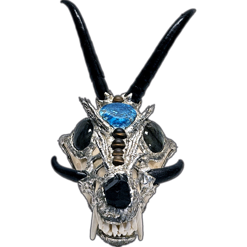 Baby dragon coyote skull, four springbok horns, two labradorite cabochons for eyes, black tourmaline nose and seven mermaid tears