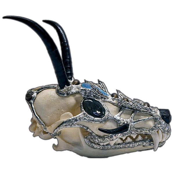 Baby dragon coyote skull, four springbok horns, two labradorite cabochons for eyes, black tourmaline nose and seven mermaid tears side view