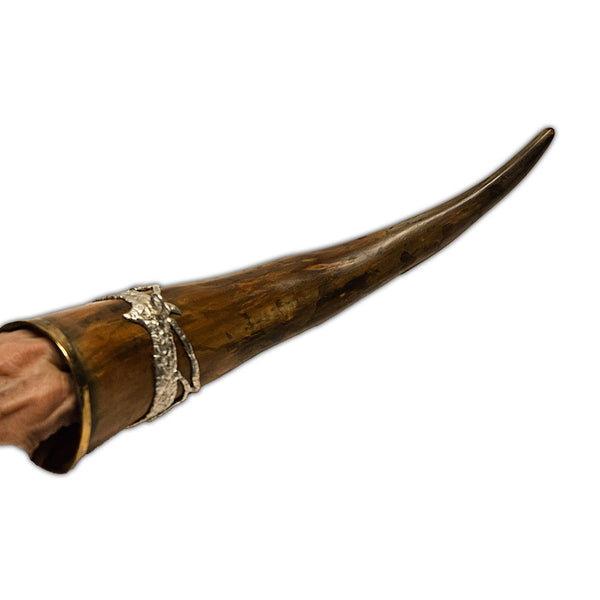 labradorite drinking horn back view