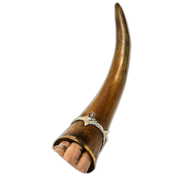 ornamental drinking horn with labradorite back view