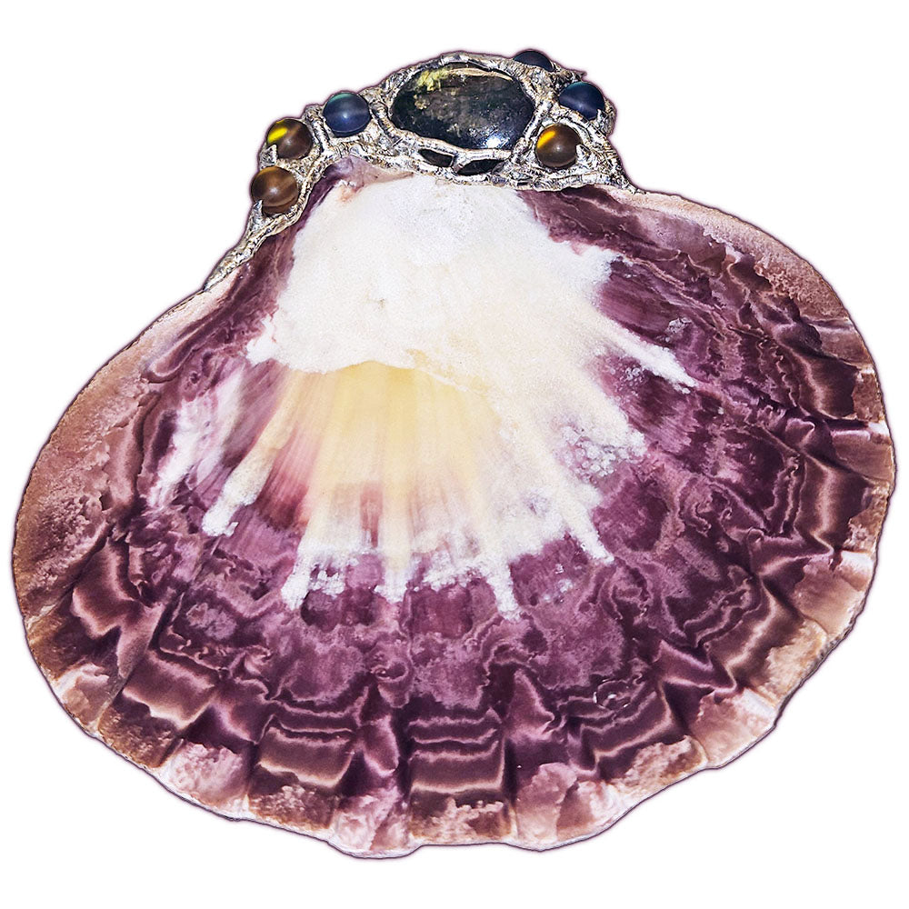 lion paw shell with mermaid tears