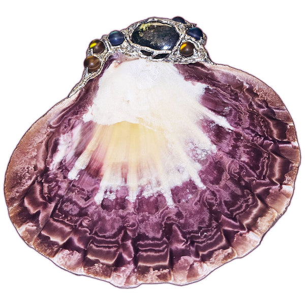 lion paw shell with mermaid tears