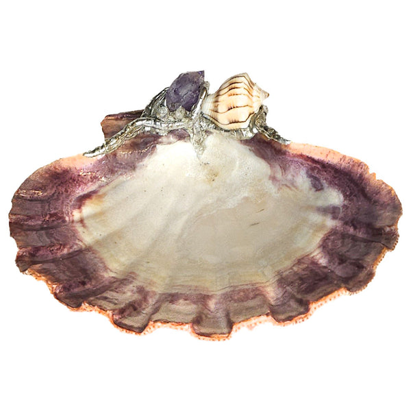 Enchanting lion paw shell dish with an amethyst point and a welk shell that was found on Sanibel Island's Blind Pass beach. Place shells, jewelry and other treasures in this delightful shell dish.