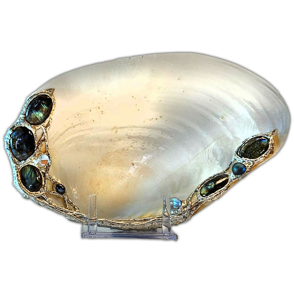 River clam shell jewelry dish with labradorite display view