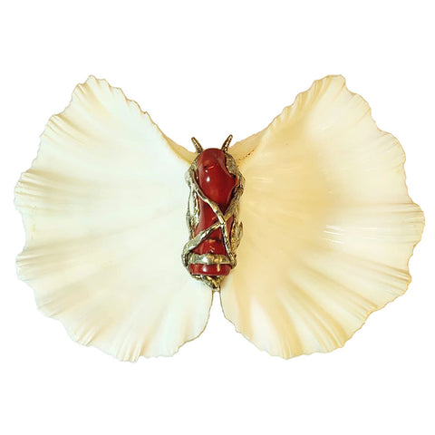 Butterfly clam shell art with a red branch coral body
